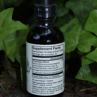 The Happiness Tonic - 2 fl. oz. Adaptogenic Spirit Tonic on a graphite surface in front of a patch of ivy.