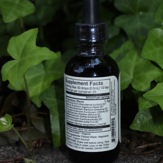 The Happiness Tonic - 2 fl. oz. Adaptogenic Spirit Tonic on a graphite surface in front of a patch of ivy.