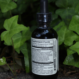 The back of the Adaptogenic 7 Mushroom Vitality + Immune Support Tonic on a concrete surface in front of ivy.