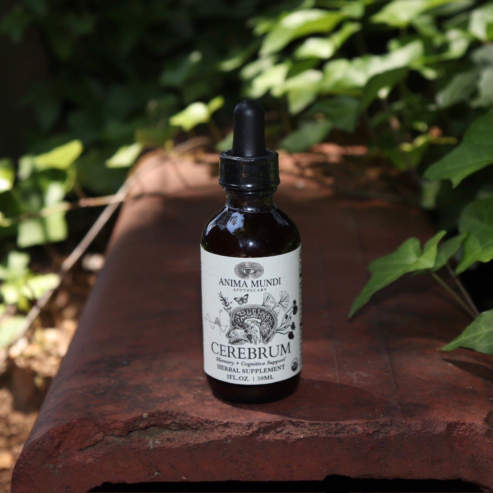 The Cerebrum - Nootropic + Cognitive Support Tonic on a rusty red surface surrounded by ivy.