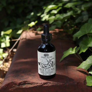 The Belly Love - 2oz Metabolism + Digestive Support Tonic on a red surface next to greenery.