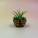 Handmade Mini Planters with Air Plants