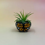 Handmade Mini Planters with Air Plants