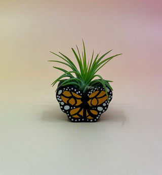 Handmade Mini Planters with Air Plants