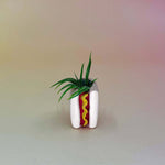 Handmade Mini Planters with Air Plants