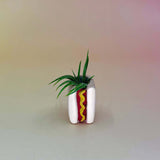 Handmade Mini Planters with Air Plants