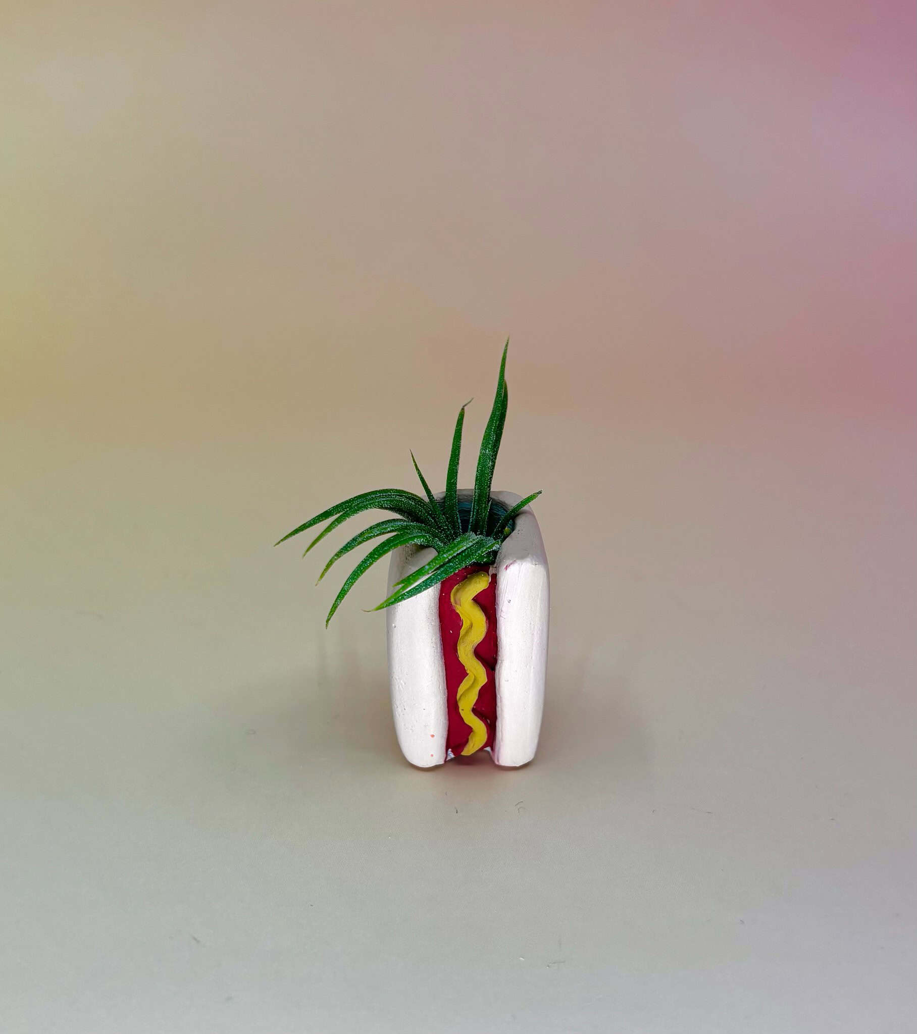 Handmade Mini Planters with Air Plants