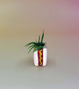 Handmade Mini Planters with Air Plants