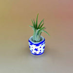 Handmade Mini Planters with Air Plants