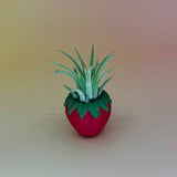 Handmade Mini Planters with Air Plants