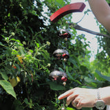 Someone holding the Encore Copper Temple Bells in front of a green bush.