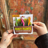 Someone holding the Wind Dancers Fancy Plants Diorama Kit  in front of a wooden background.