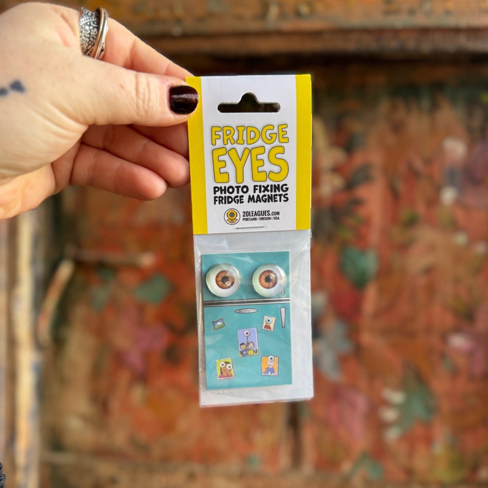 Someone holding the Fridge Eyes Magnets in front of a wooden background.