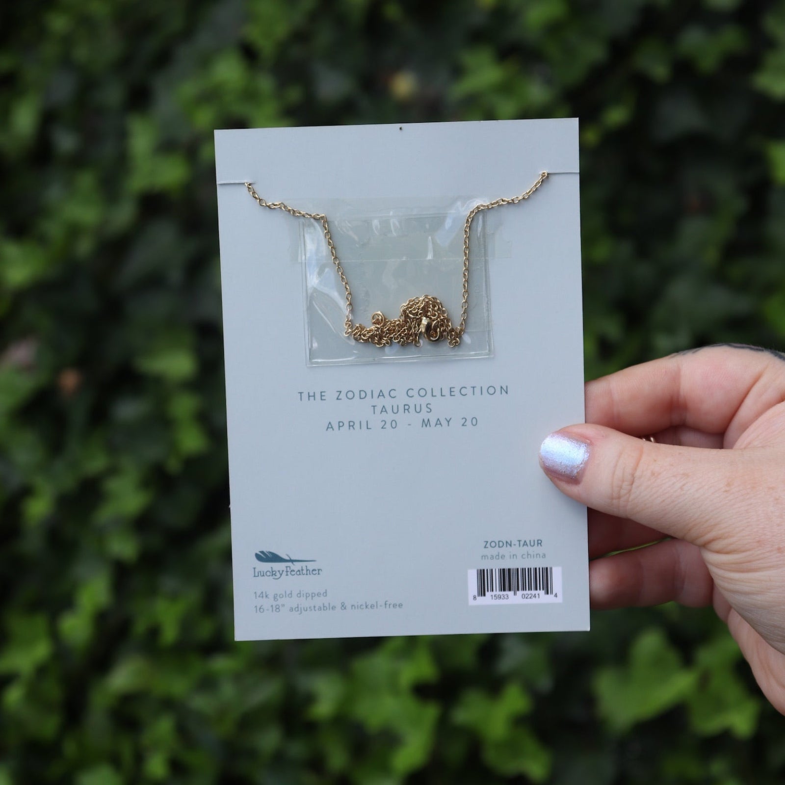 Someone holding the Taurus 14k Gold Dipped Nickel-Free Zodiac Necklace on its card in front of greenery showing off the back.