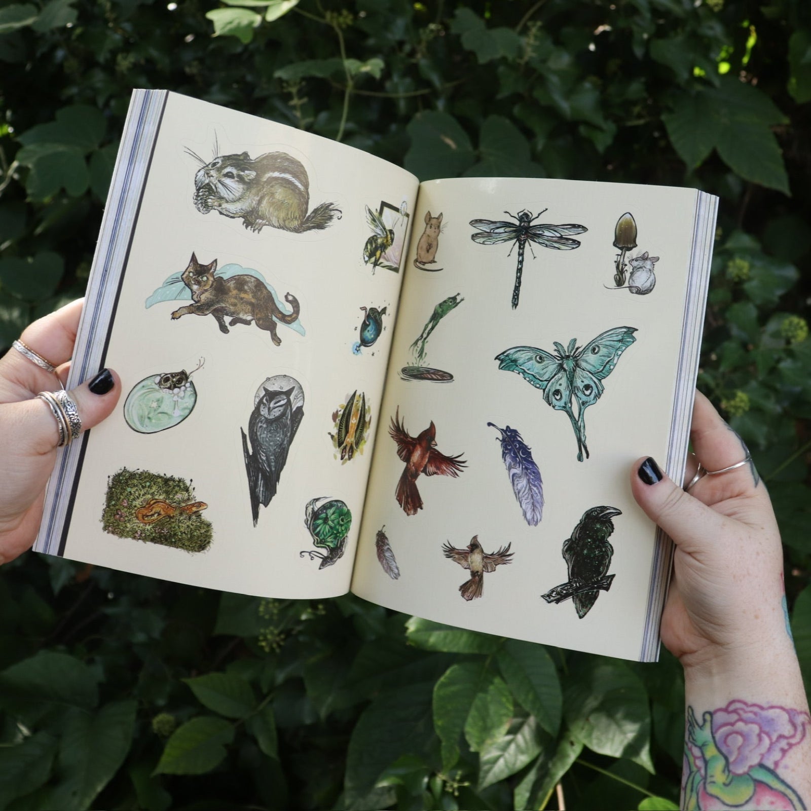 Someone holding the Green Witch's Sticker Book by Arin Murphy-Hiscock open in front of greenery, showing odd the sticker pages.