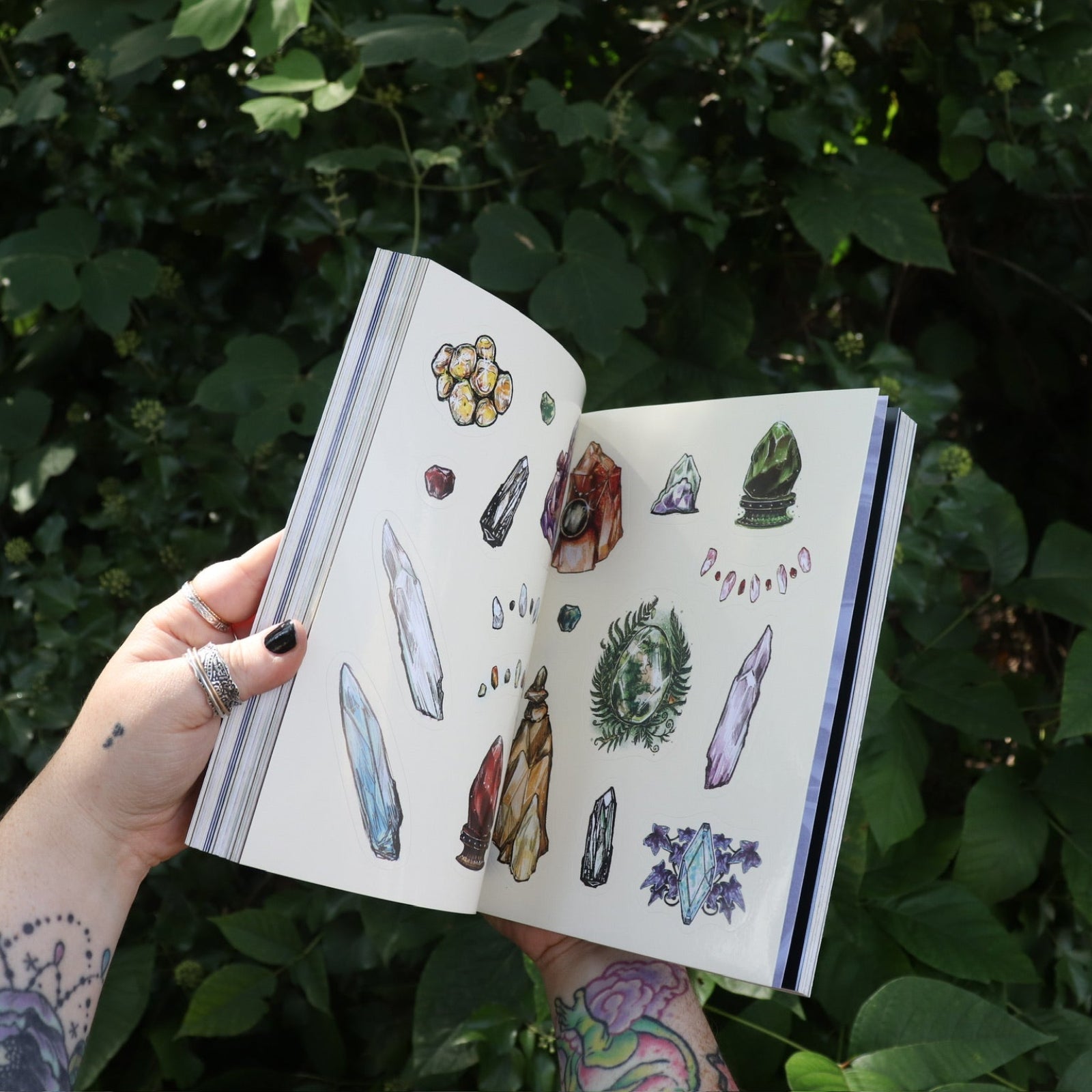 Someone holding the Green Witch's Sticker Book by Arin Murphy-Hiscock open in front of greenery, showing odd the sticker pages.