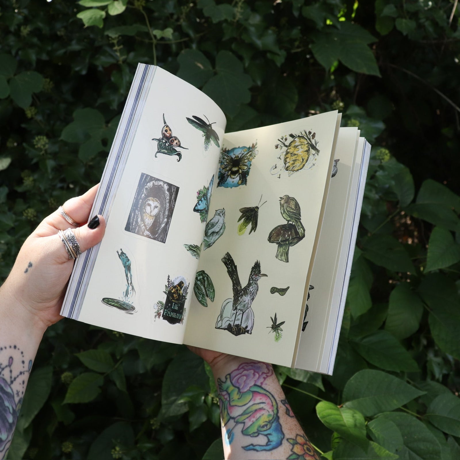 Someone holding the Green Witch's Sticker Book by Arin Murphy-Hiscock open in front of greenery, showing odd the sticker pages.