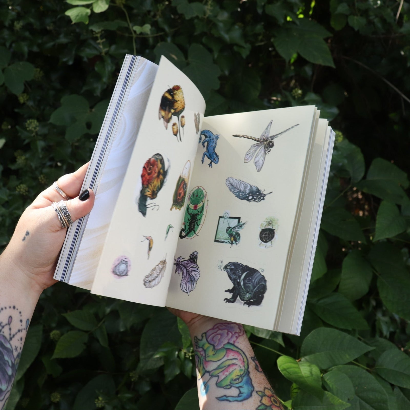 Someone holding the Green Witch's Sticker Book by Arin Murphy-Hiscock open in front of greenery, showing odd the sticker pages.