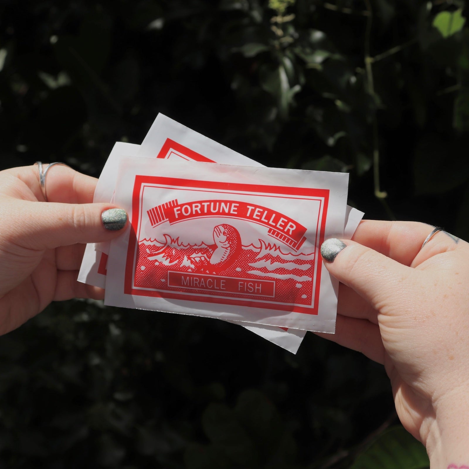 Someone holding three of the Fortune Fish packages in front of the greenery.