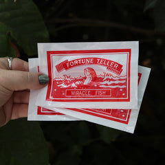 Someone holding three of the Fortune Fish packages in front of the greenery.