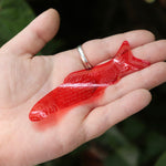 Someone holding a Fortune Fish packages in front of the greenery.