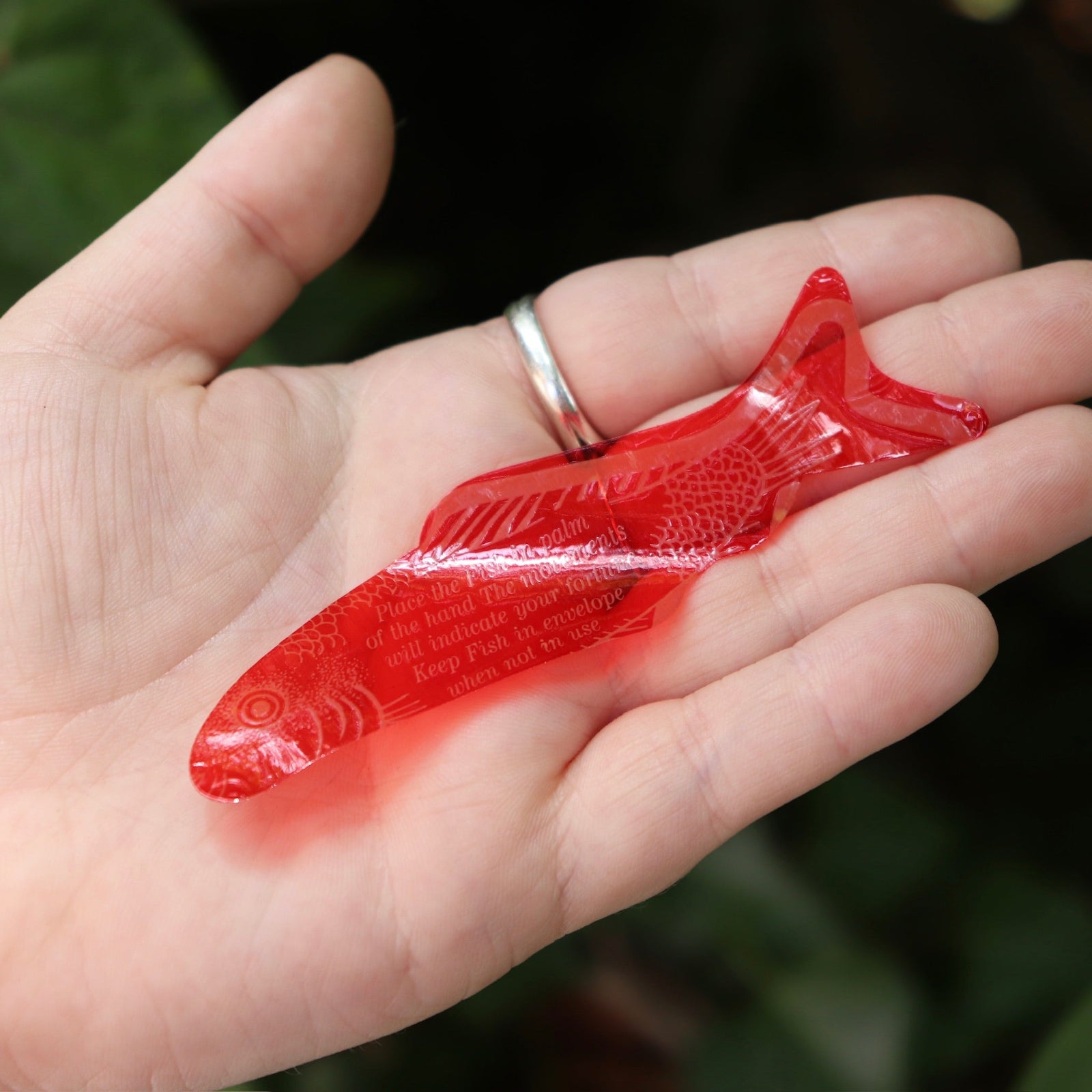 Someone holding a Fortune Fish packages in front of the greenery.