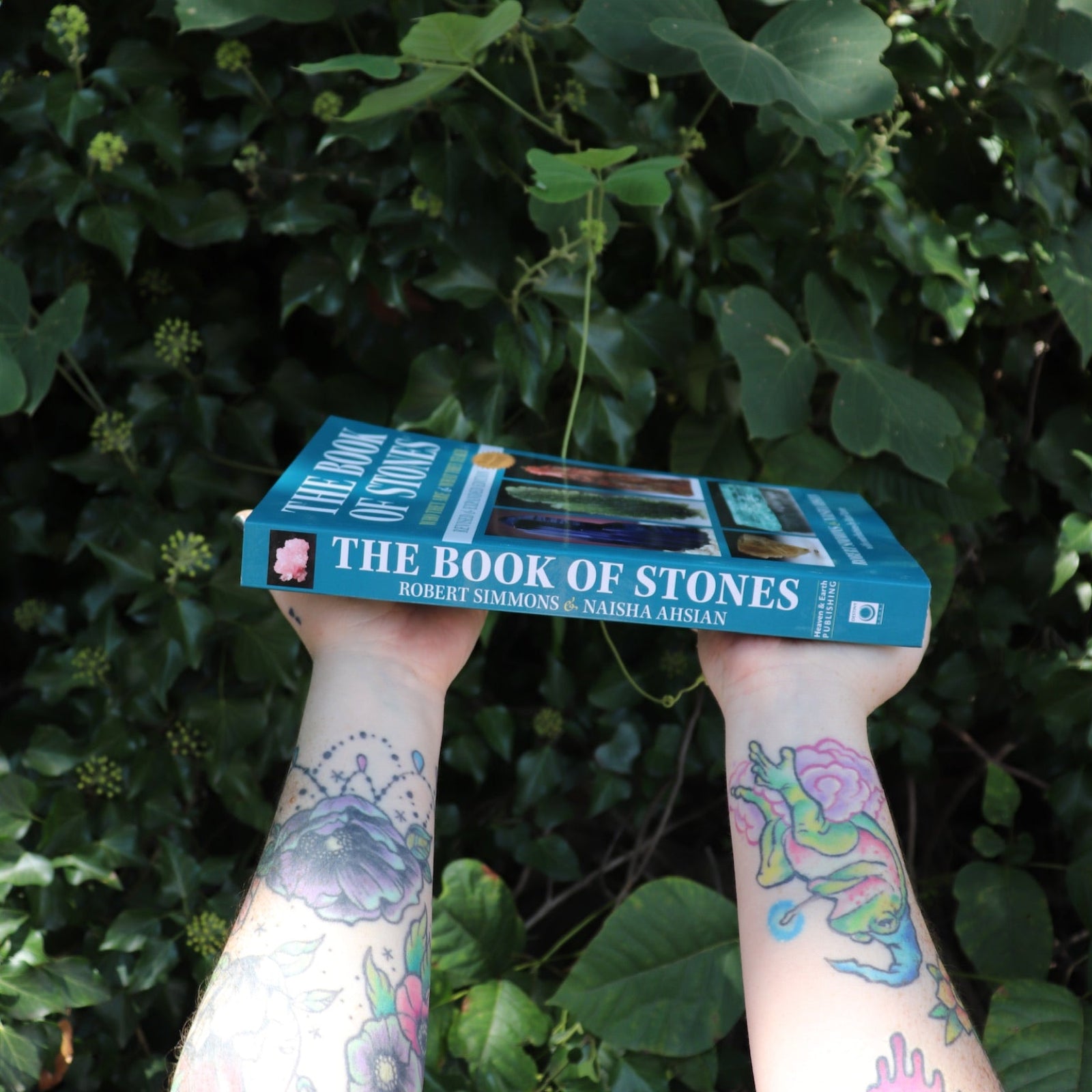 Someone holding the Book of Stones by Robert Simmons in front of greenery, showing off the book's spine.