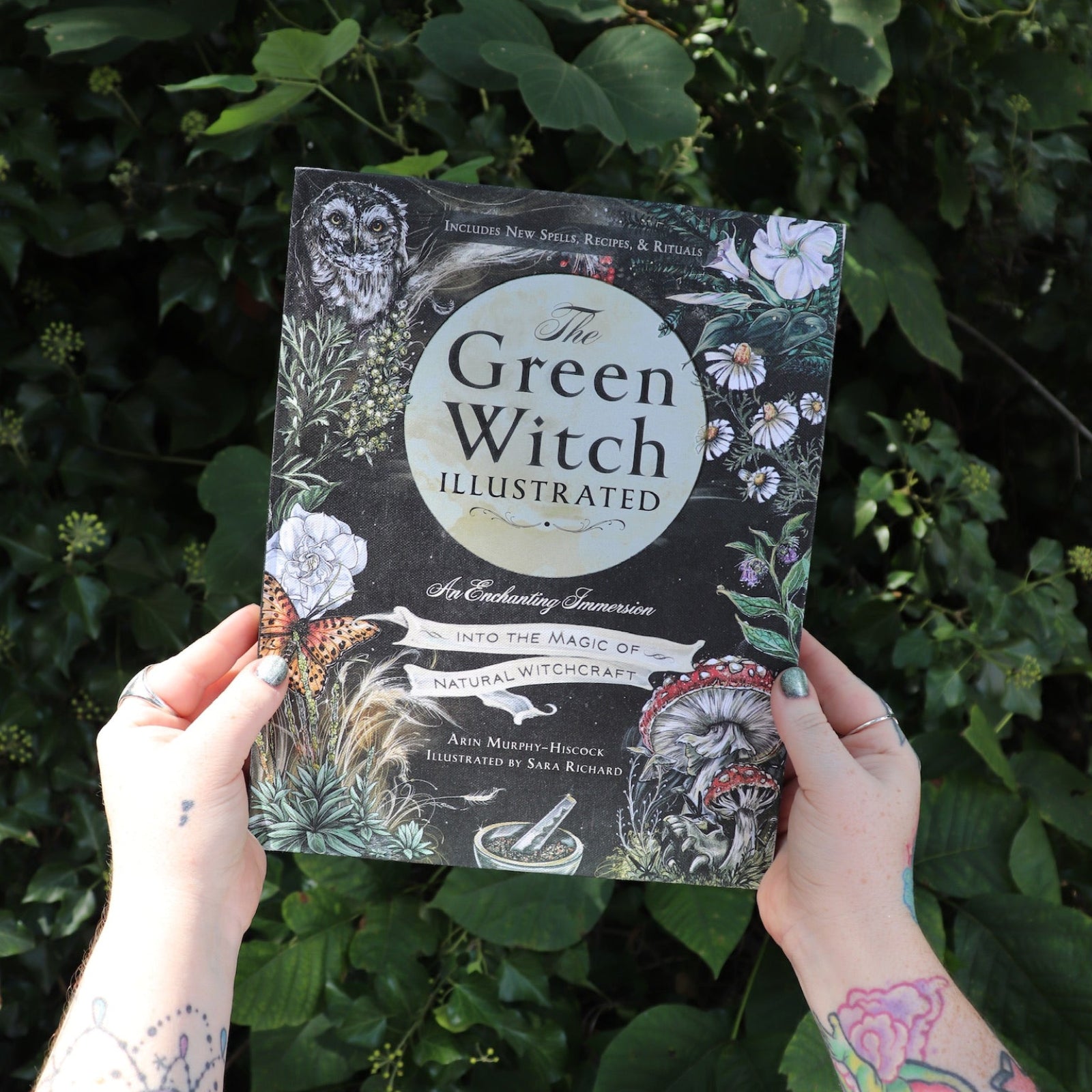 Someone holding the Green Witch Illustrated by Arin Murphy-Hiscock in front of the greenery.