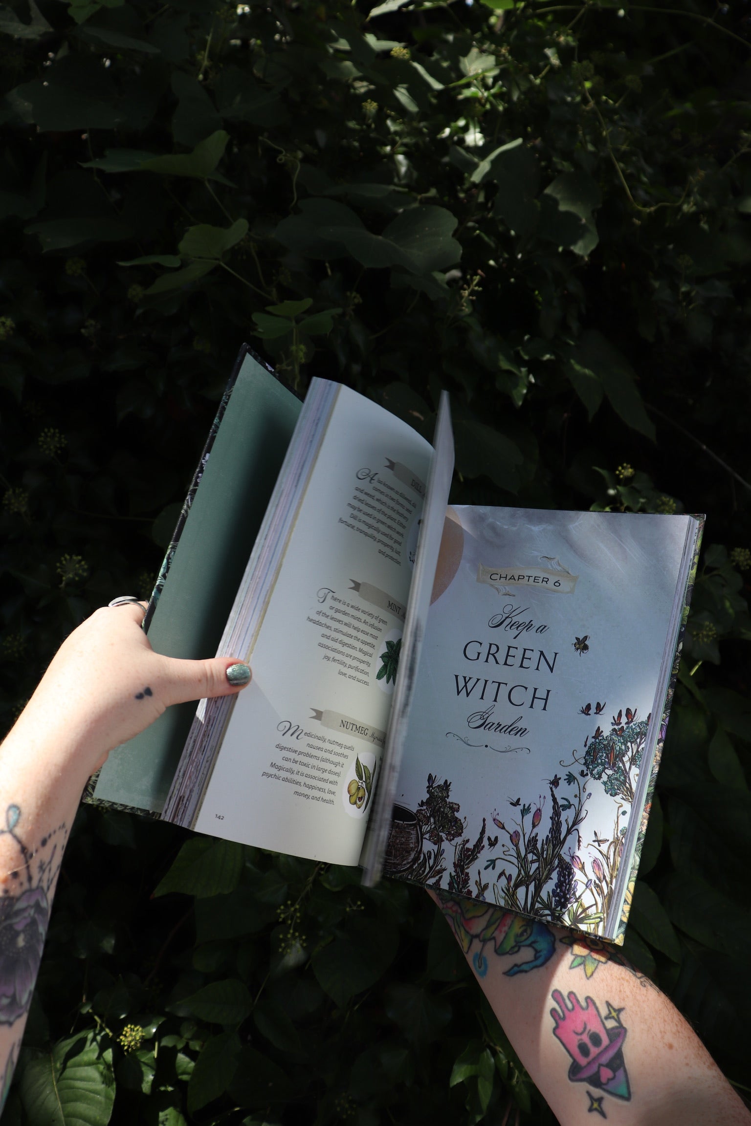 Someone holding the Green Witch Illustrated by Arin Murphy-Hiscock open in front of the greenery, showing off the pages.