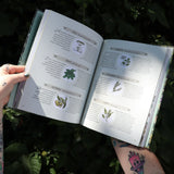 Someone holding the Green Witch Illustrated by Arin Murphy-Hiscock open in front of the greenery, showing off the pages.