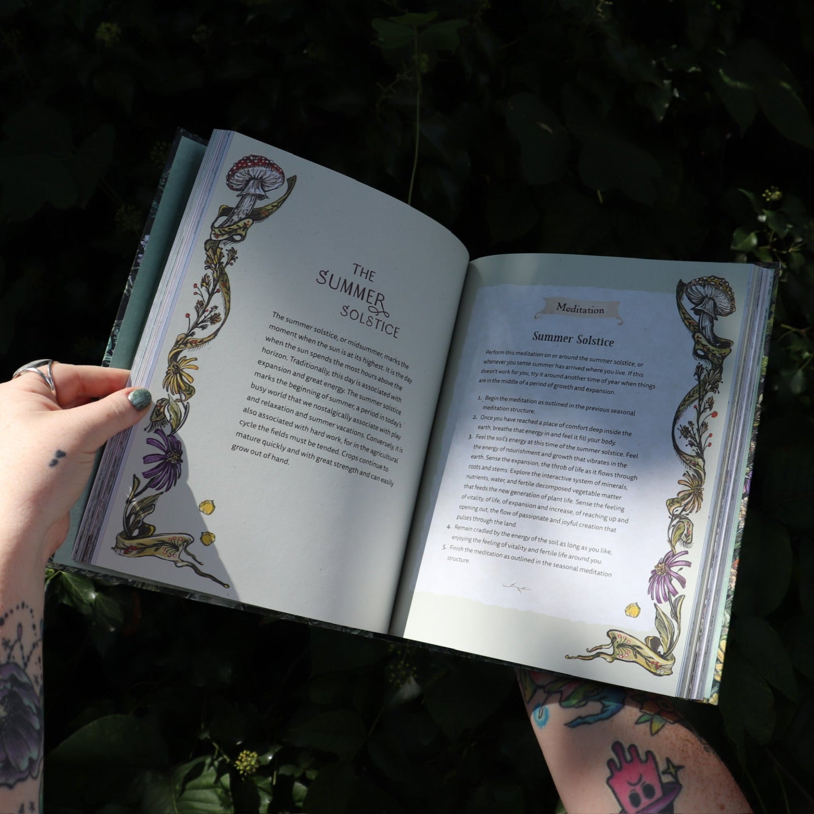 Someone holding the Green Witch Illustrated by Arin Murphy-Hiscock open in front of the greenery, showing off the pages.