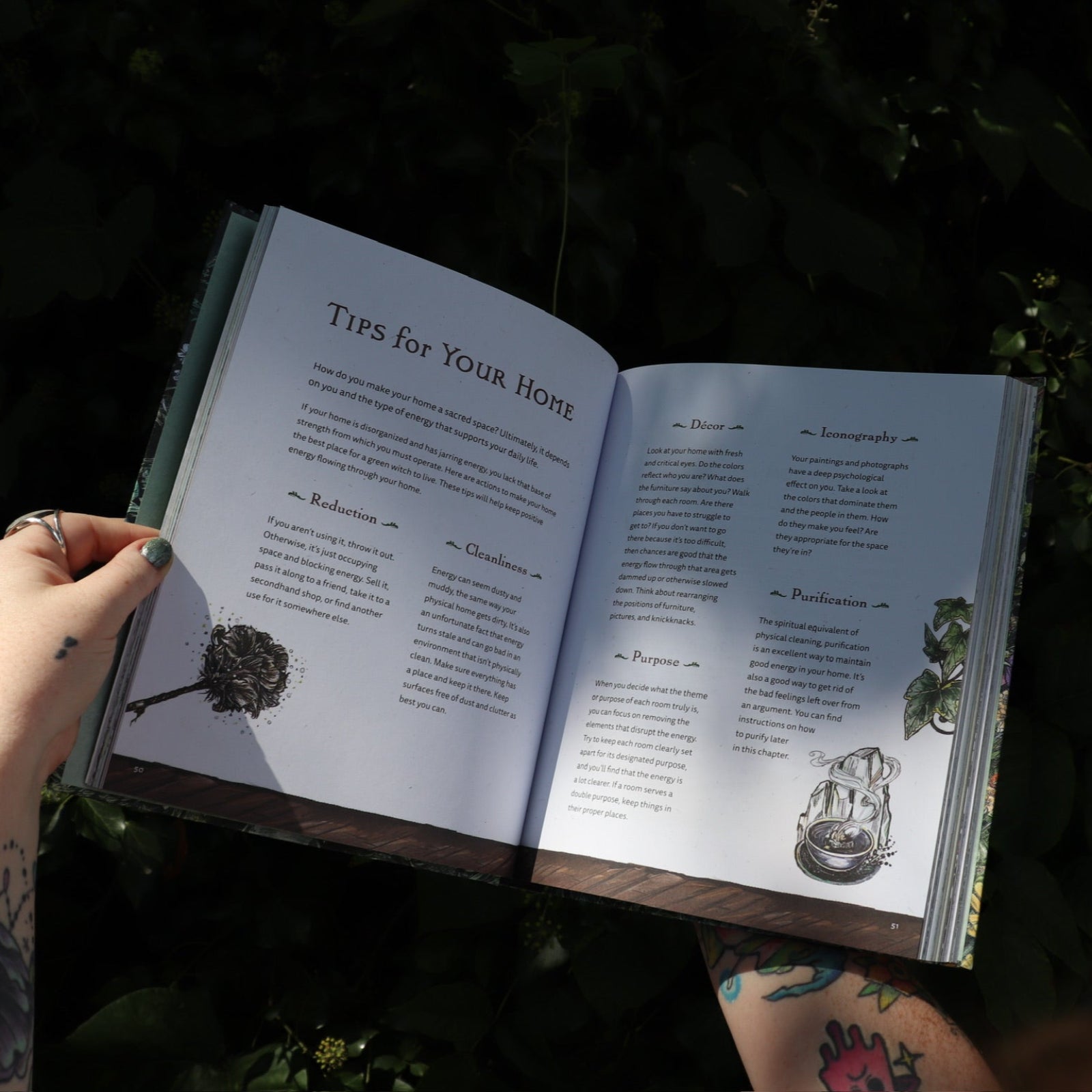 Someone holding the Green Witch Illustrated by Arin Murphy-Hiscock open in front of the greenery, showing off the pages.
