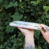 Someone holding the Green Witch's Garden Journal by Arin Murphy-Hiscock in front of greenery, showing off the side.