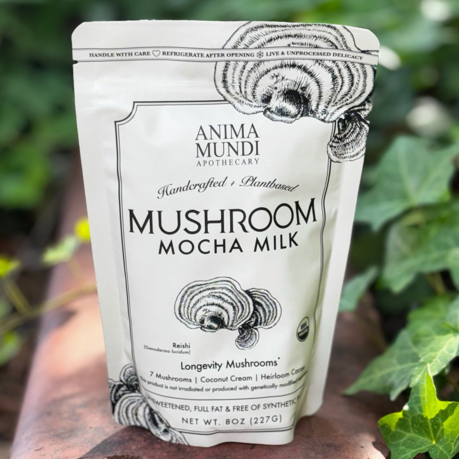 The 7 Mushrooms Mocha Milk - Longevity Milk on a dusty red surface surrounded by ivy.