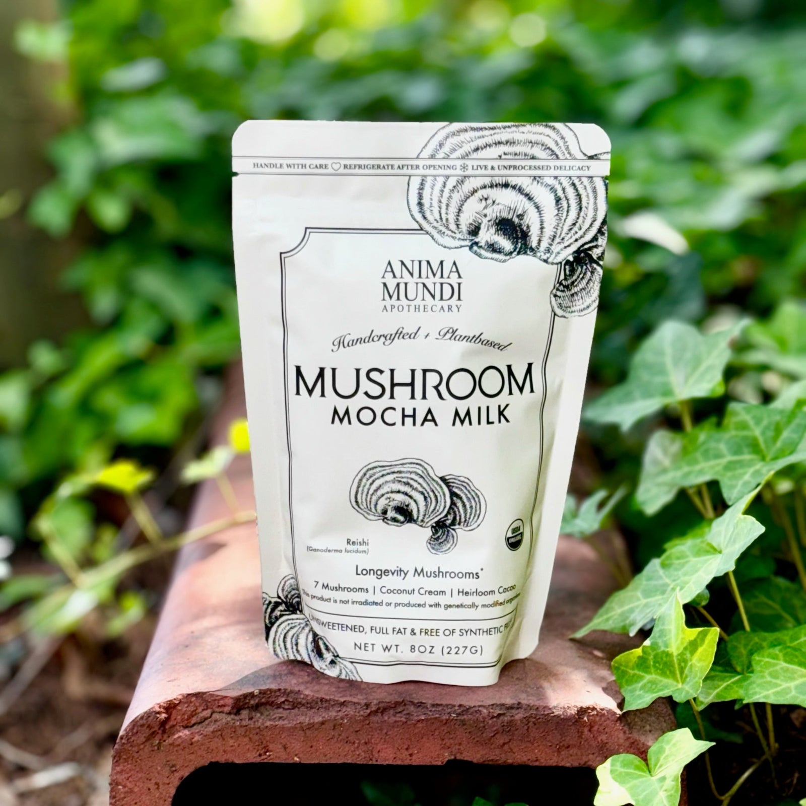 The 7 Mushrooms Mocha Milk - Longevity Milk on a dusty red surface surrounded by ivy.