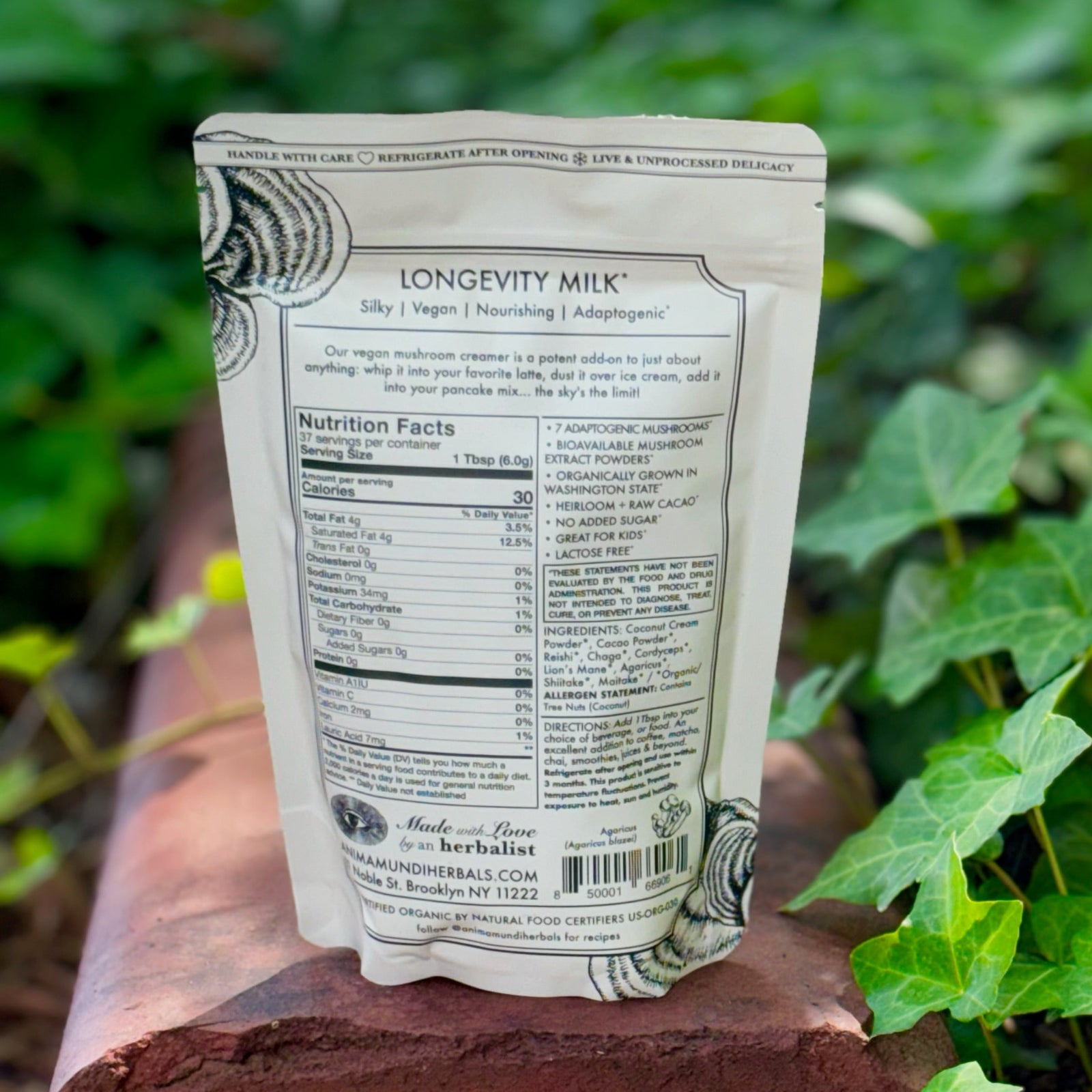 The back of the 7 Mushrooms Mocha Milk - Longevity Milk on a dusty red surface surrounded by ivy.