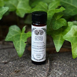 The Australian Sandalwood Pure Essential Oil on a graphite surface in front of a patch of ivy.