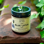 The Blue Lotus Flower of Intuition Powder on a rusty red surface surrounded by ivy.