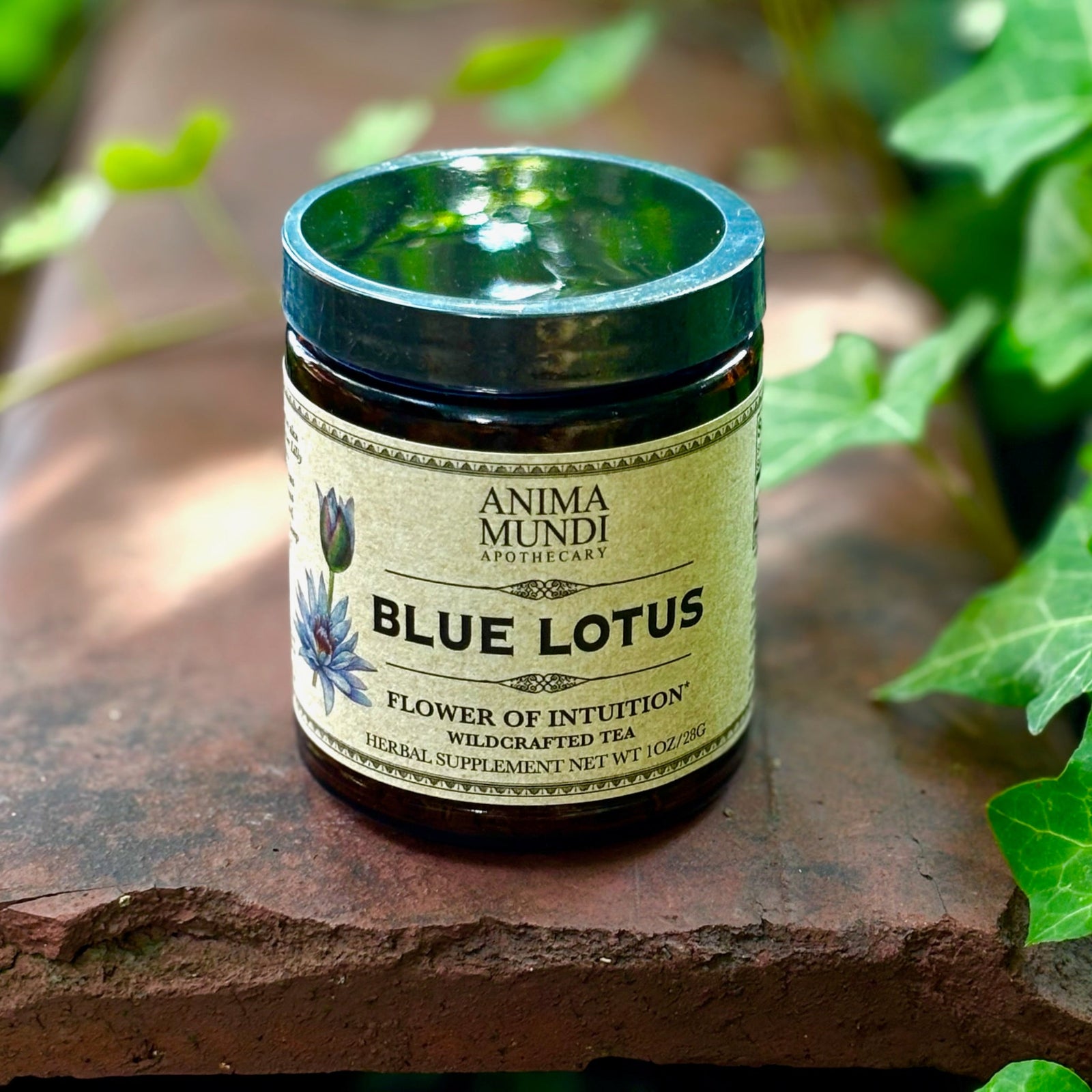The Blue Lotus Flower of Intuition Powder on a rusty red surface surrounded by ivy.