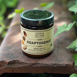 The 7 Medicinal Mushrooms + Cacao Adaptogenic 4 oz Powder on a rusty red surface surrounded by green ivy.