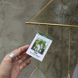 An up-close image of someone holding the tag of the Mellow Stained Glass Suncatcher in front of a cement wall.