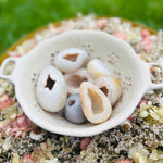 Natural Druzy Agate Crystal Egg