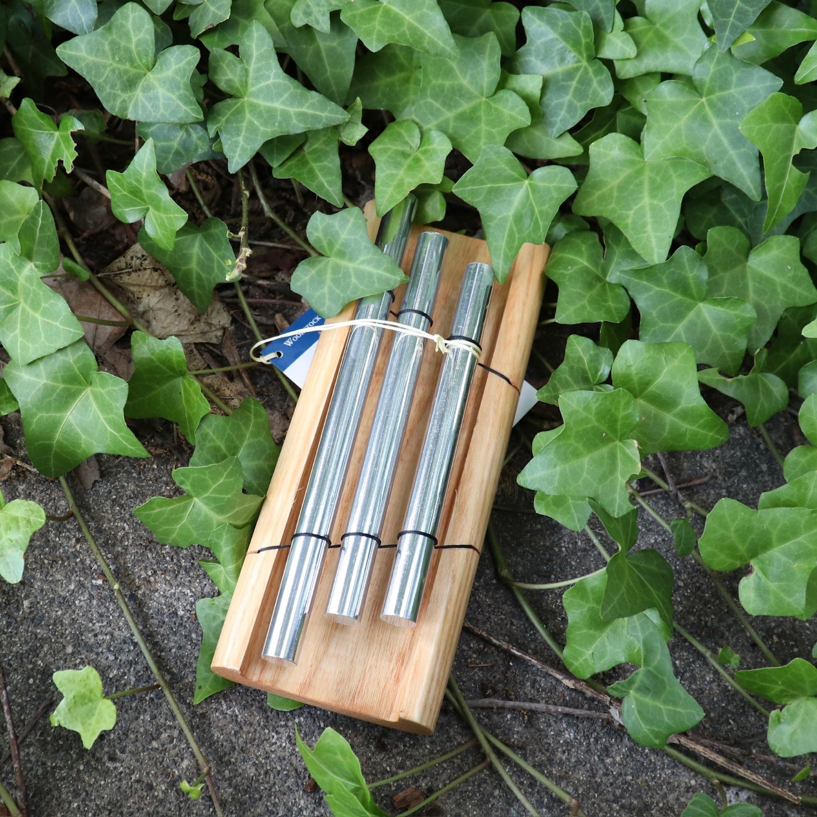 The Woodstock Zenergy Trio Chime on a cement dark cement background surrounded by ivy.