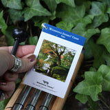 Someone holding the tag of the Woodstock Zenergy Trio Chime on a dark cement background surrounded by ivy, with someone holding the rubber mallet.