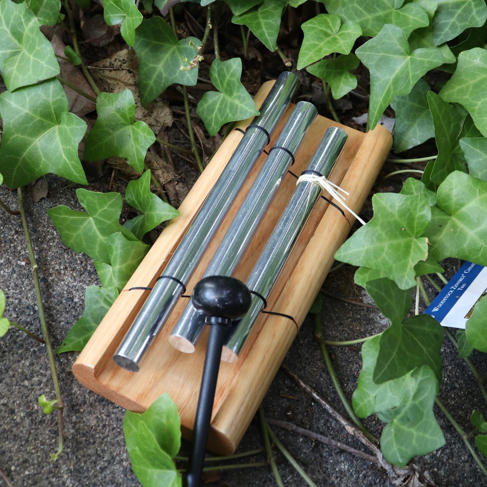 The Woodstock Zenergy Trio Chime on a dark cement background surrounded by ivy, with someone holding the rubber mallet.