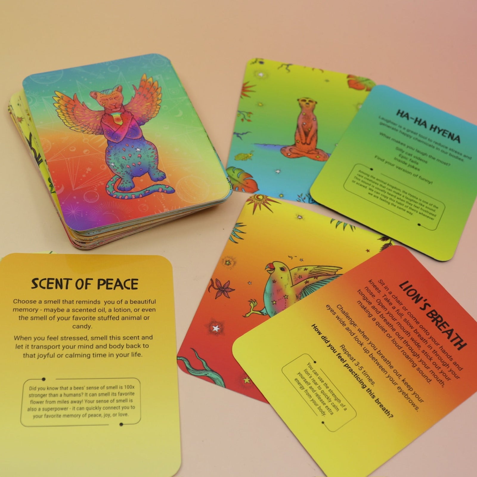 The contents of the Kingdom Calm Card Deck on a pink and yellow background.