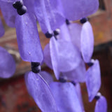 An up-close image of the Purple Capiz Chime in front of a wooden door.