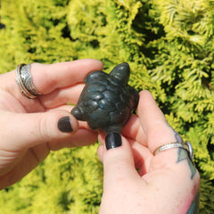 Person holding a small black turtle figurine with green foliage in the background