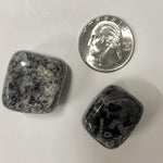 Two Indigo Gabbro tumbles next to a quarter to show size