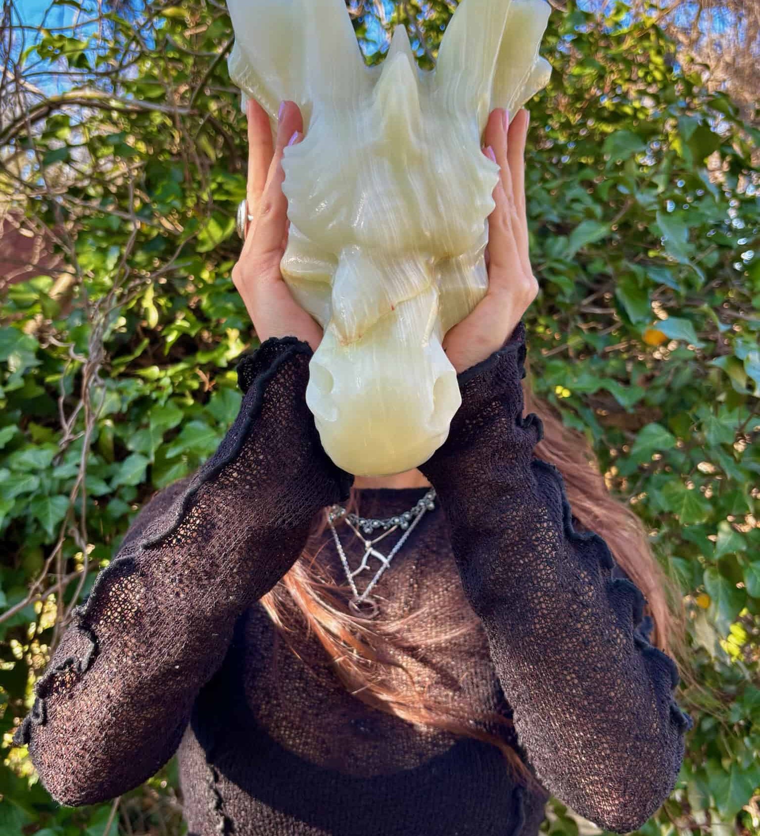 Onyx Crystal Dragon Head